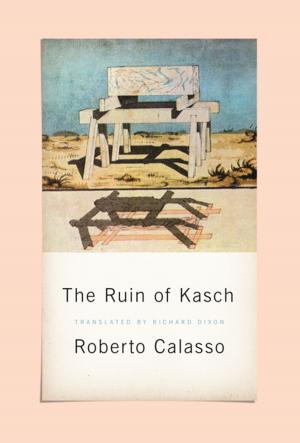 Cover of the book The Ruin of Kasch by John Koethe