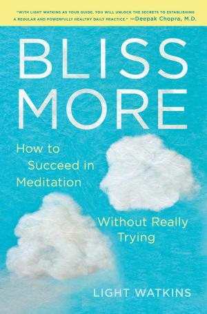 Cover of the book Bliss More by Richard Hilary Weber