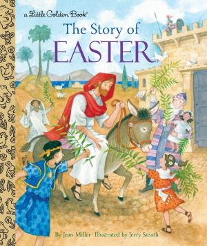 bigCover of the book The Story of Easter by 