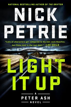 Cover of the book Light It Up by Robin Oliveira