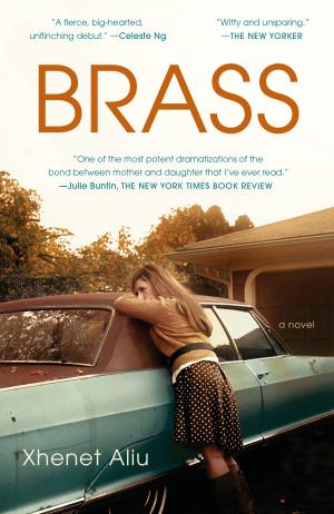 Cover of the book Brass by Rebecca Stott