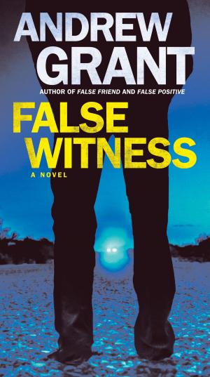 Cover of the book False Witness by Rita Mae Brown