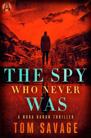 Cover of the book The Spy Who Never Was by Gertrude Stein