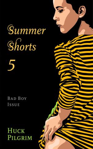Cover of the book Summer Shorts 5 by Huck Pilgrim