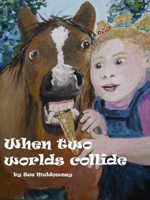 Cover of the book When Two Worlds Collide by Sue Muldowney
