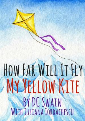 Book cover of How Far Will It Fly?