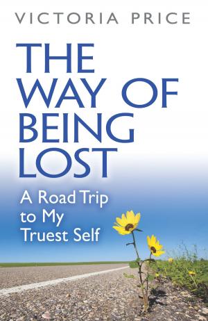 Book cover of The Way of Being Lost