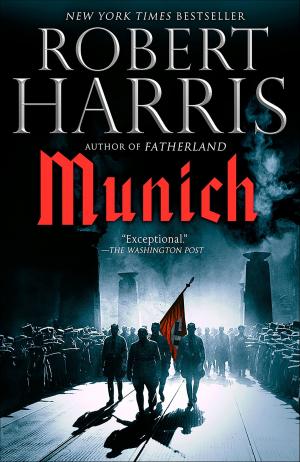Cover of the book Munich by Andrew Vachss