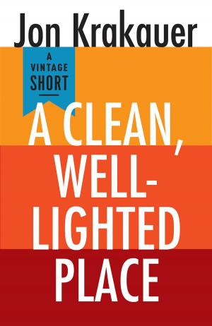 Book cover of A Clean, Well-Lighted Place
