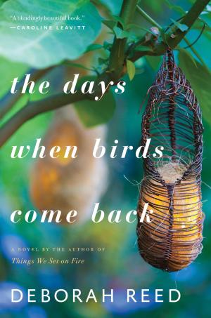 Cover of the book The Days When Birds Come Back by Ally Blue