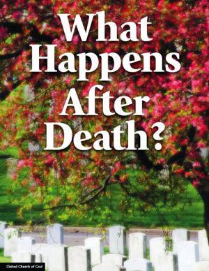 Cover of the book What Happens After Death? by Susan Kinsinger