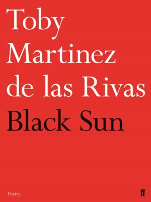 Cover of the book Black Sun by Eric Sams