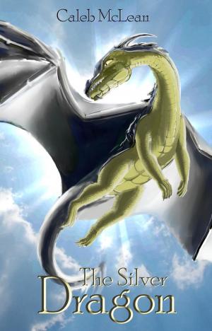 Cover of the book The Silver Dragon by Harper Kingsley