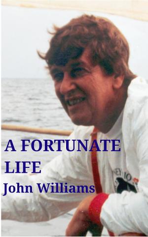 Cover of A Fortunate Life