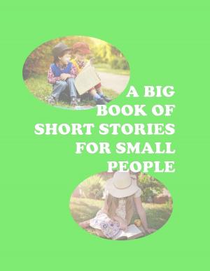Cover of A Big Book Of Short Stories For Small People