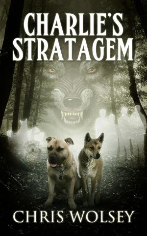 Book cover of Charlie's Stratagem
