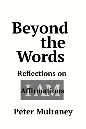 Cover of the book Beyond the Words by Peter Mulraney