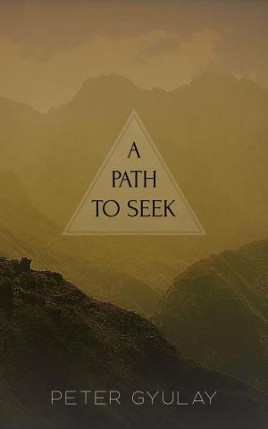 Cover of the book A Path to Seek by Barbara Griffin Villemez