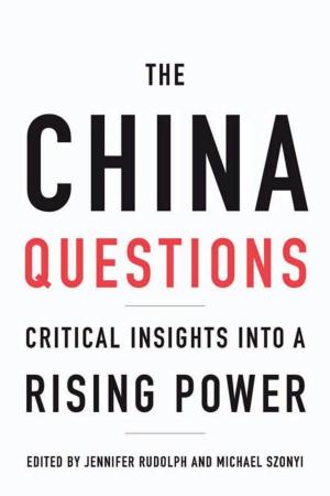 Cover of the book The China Questions by Ge Zhaoguang