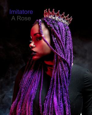 Cover of the book Imitatore: The Donna Chronicles by A Rose