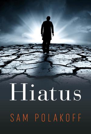 Cover of the book Hiatus by John Nicholas Iannuzzi