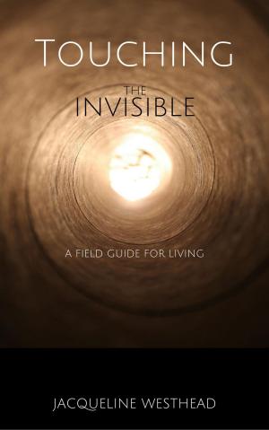 Cover of the book Touching the Invisible: A Field Guide for Living by Shawn Doyle, CSP, Lauren Anderson