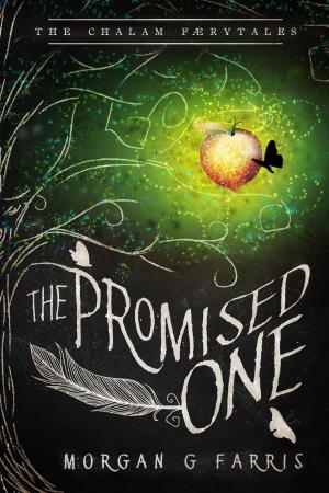 Cover of the book The Promised One by Ben Silver