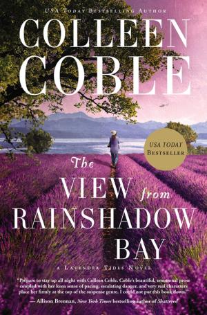 Book cover of The View from Rainshadow Bay