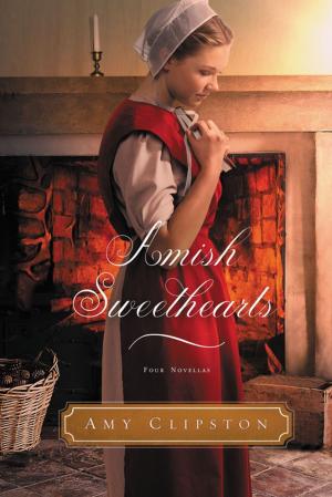 bigCover of the book Amish Sweethearts by 