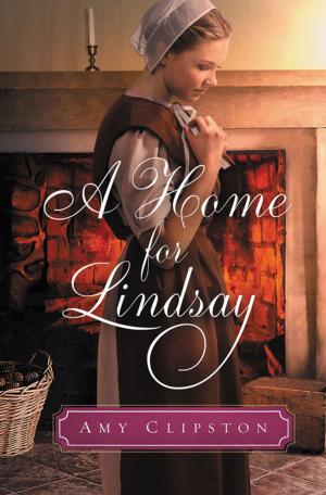 Book cover of A Home for Lindsay