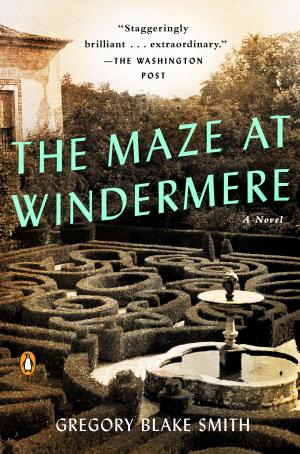 Cover of the book The Maze at Windermere by Keith R.A. DeCandido, Electric Entertainment