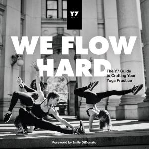 Cover of the book We Flow Hard by Ginger Southall, D.C.