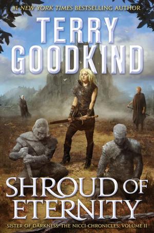 Cover of the book Shroud of Eternity by Ken MacLeod