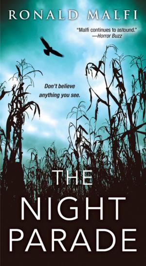 Cover of the book The Night Parade by Tobias Roote