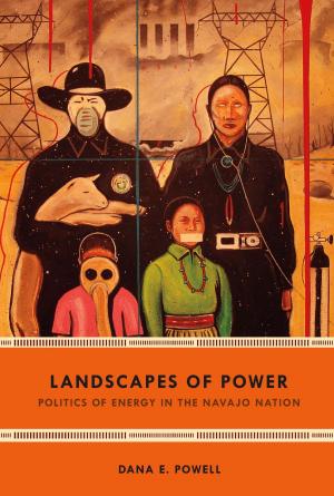 Cover of the book Landscapes of Power by Natasha Lightfoot