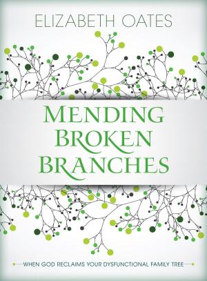 Cover of the book Mending Broken Branches by Dianna Cleveland, Frank Turek