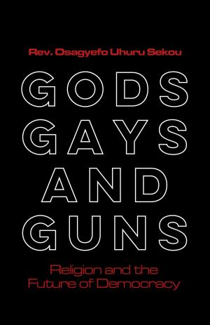 Cover of the book Gods, Gays, and Guns by Dr. Mary Donovan-Turner