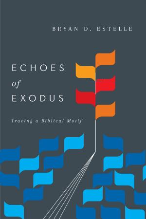 Cover of the book Echoes of Exodus by Natasha Sistrunk Robinson
