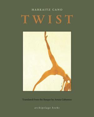 Cover of the book Twist by Tonke Dragt