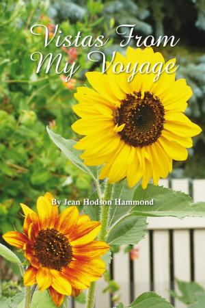 Cover of the book Vistas from My Voyage by John LaMonte