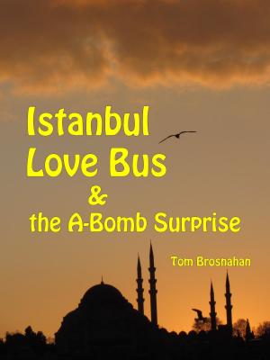 Cover of the book Istanbul Love Bus by Mary F. Burns
