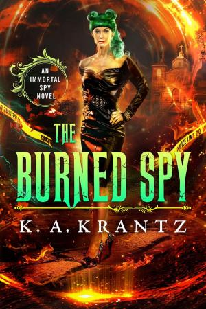 Cover of the book The Burned Spy by Robert Wright Jr