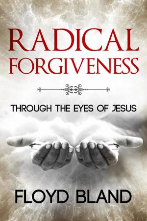 Cover of the book Radical Forgiveness by Olaniyan O. Peter, Olutimehin Oladimeji