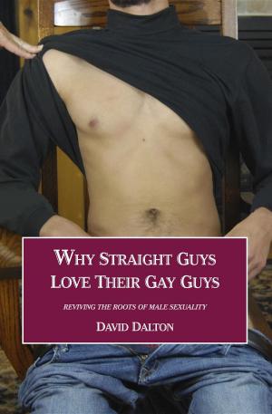 Cover of Why Straight Guys Love Their Gay Guys