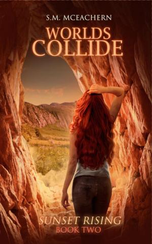 Cover of the book Worlds Collide by Hearts Collective