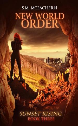 Cover of the book New World Order by Sarah Peters