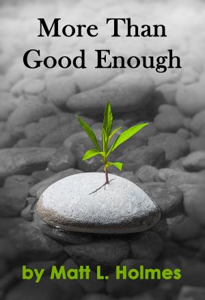 Book cover of More Than Good Enough