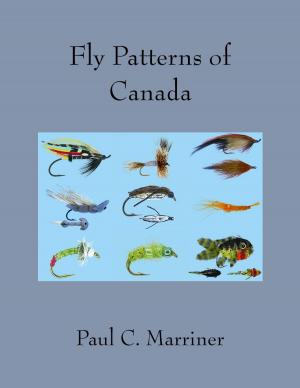Cover of the book Fly Patterns of Canada by Lenny Rudow