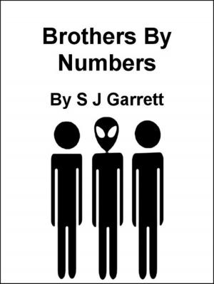 Book cover of Brothers By Numbers