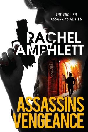 Cover of the book Assassins Vengeance by Robert Michael
